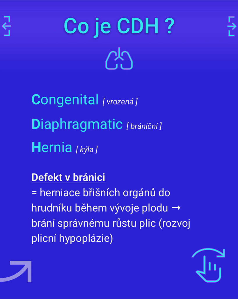 Nadační Fond NICU ÚPMD – CDH 2